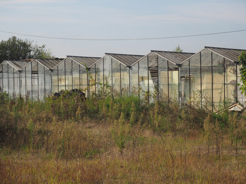 serres abandonnées suite à un dépôt de bilan à Montmerle sur Saône (01)